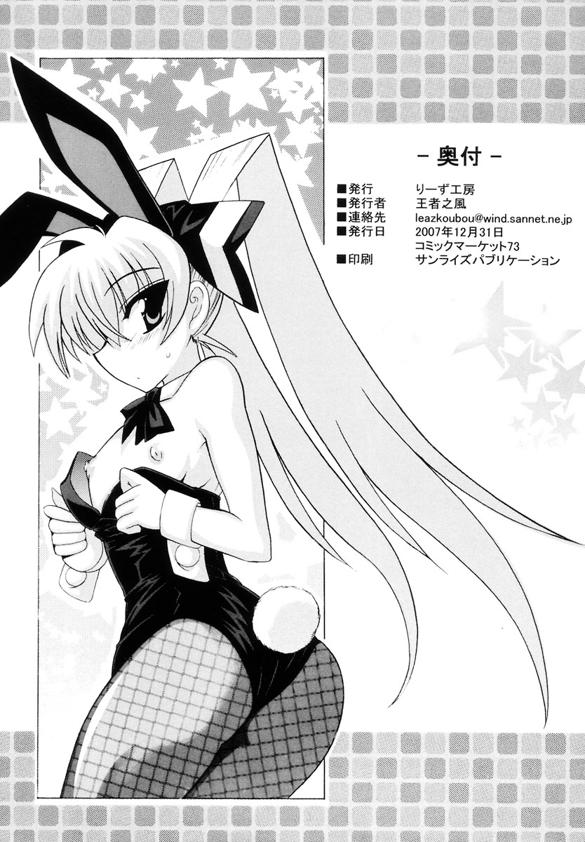 (C73) [りーず工房 (王者之風)] OMAKEマニアックス (マブラヴ オルタネイティブ)