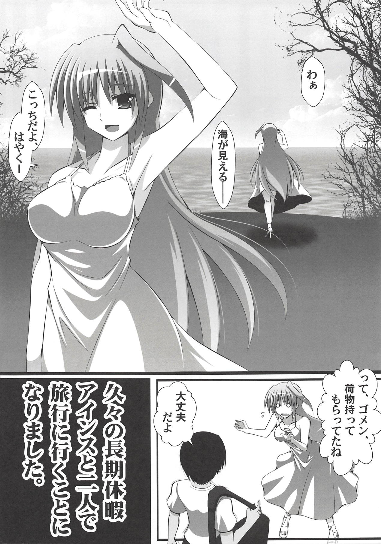(C94) [Aquarius Gate (えんご)] アインスと物理結合 (魔法少女リリカルなのは)