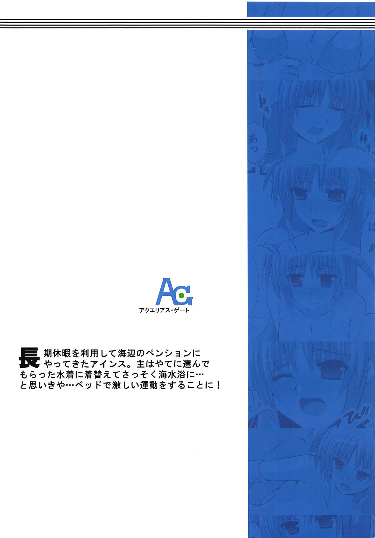 (C94) [Aquarius Gate (えんご)] アインスと物理結合 (魔法少女リリカルなのは)