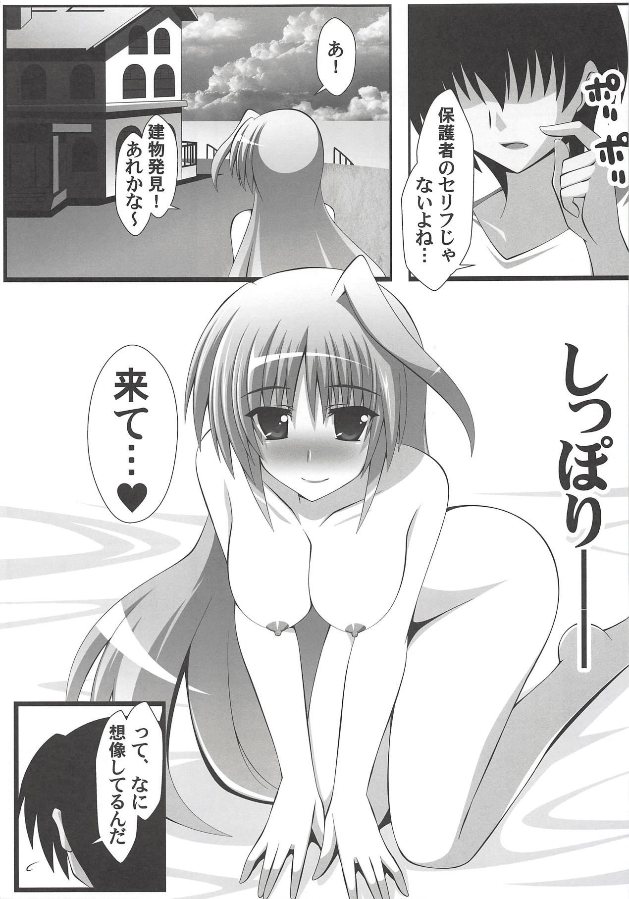 (C94) [Aquarius Gate (えんご)] アインスと物理結合 (魔法少女リリカルなのは)