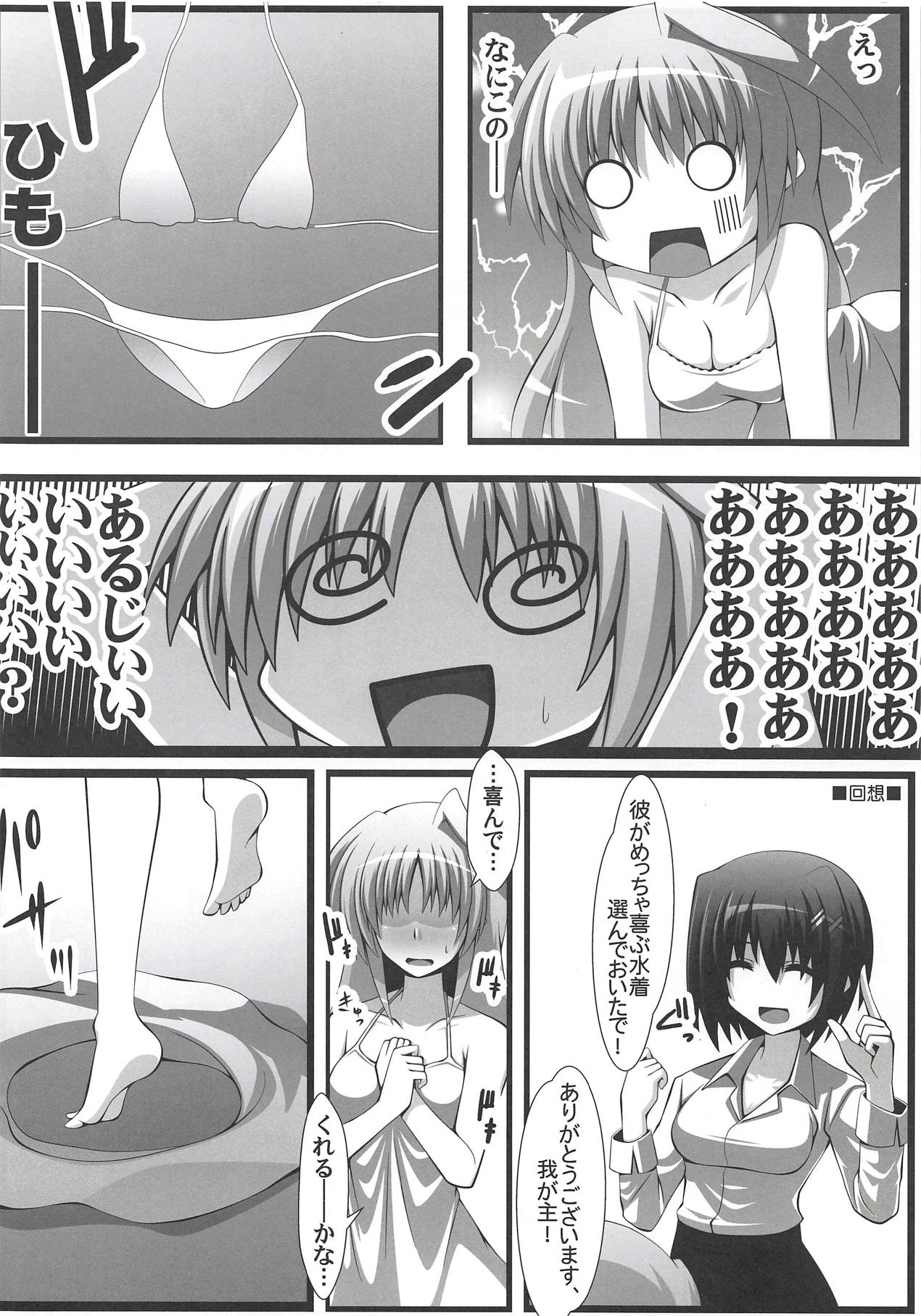(C94) [Aquarius Gate (えんご)] アインスと物理結合 (魔法少女リリカルなのは)