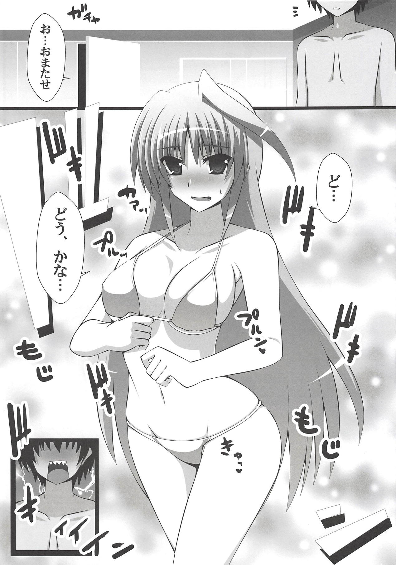 (C94) [Aquarius Gate (えんご)] アインスと物理結合 (魔法少女リリカルなのは)