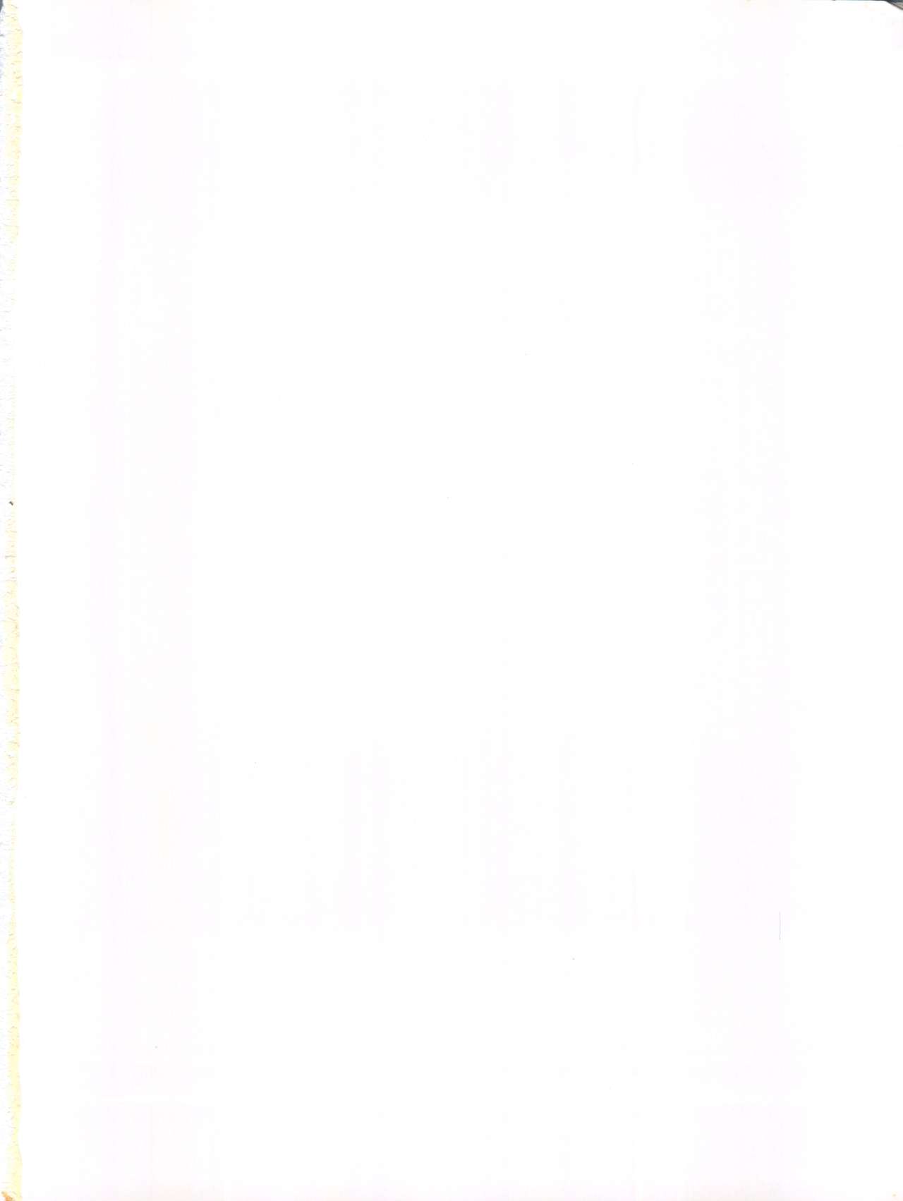[tail of nearly (愛飢王、さんぢぇるまん猿、WAKA)] いまさらナディア とってもアスカ! vol.1 (新世紀エヴァンゲリオン、ふしぎの海のナディア)