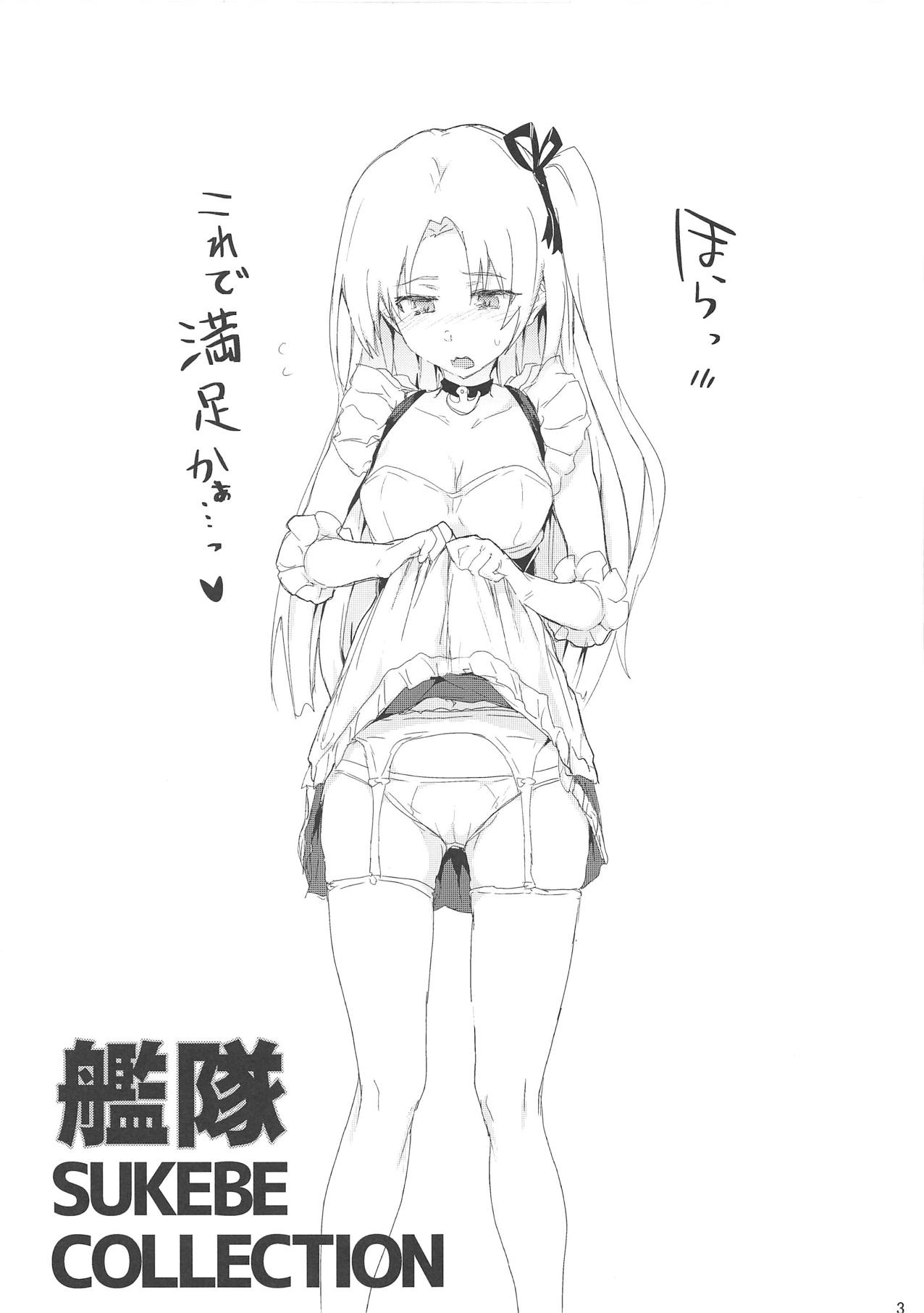 [RIBI堂 (陽方晶月)] 艦隊SUKEBECOLLECTION (アズールレーン)