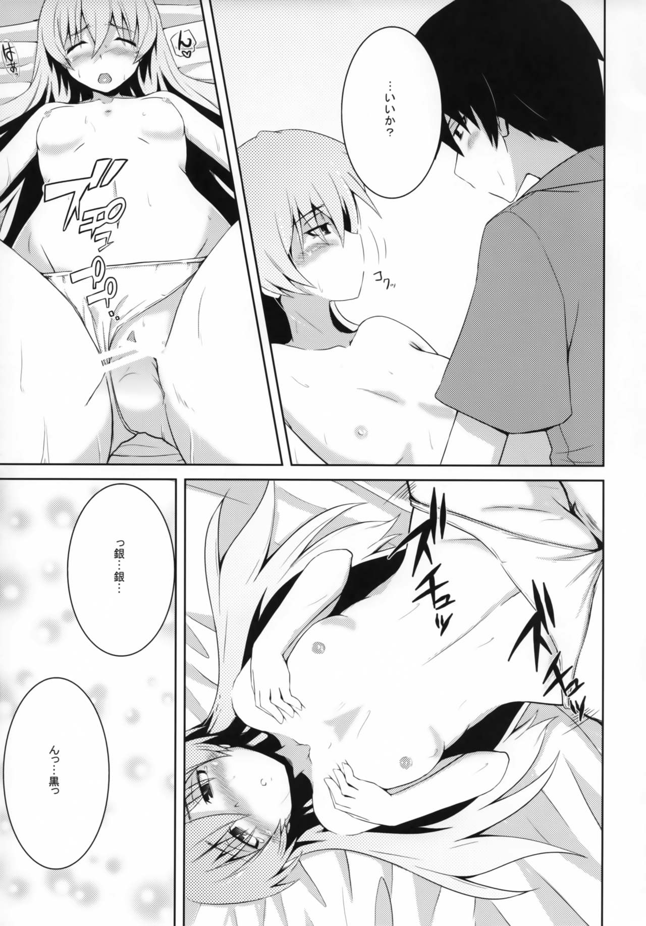 (COMIC1☆5) [銀のキャッチャーミット (かなめ薙)] ～銀色の願い～ (DARKER THAN BLACK)