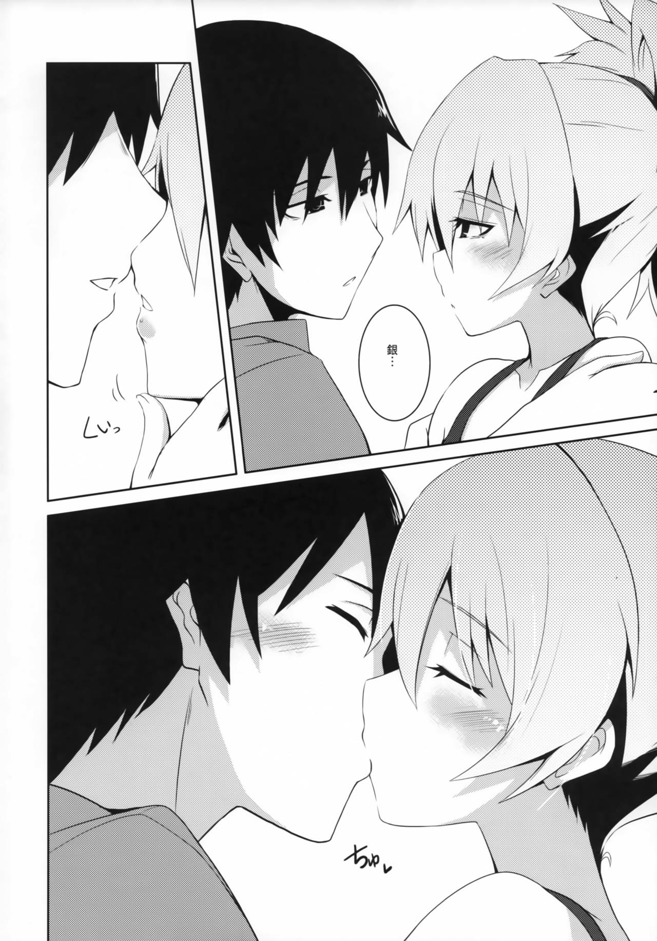 (COMIC1☆5) [銀のキャッチャーミット (かなめ薙)] ～銀色の願い～ (DARKER THAN BLACK)