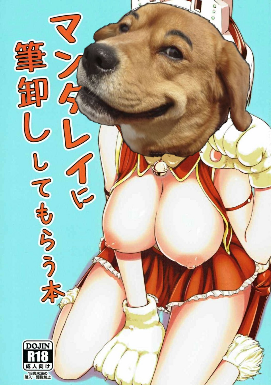 (C91) [crossray (大森誠)] マンダレイに筆卸ししてもらう本 (僕のヒーローアカデミア) [中国翻訳]