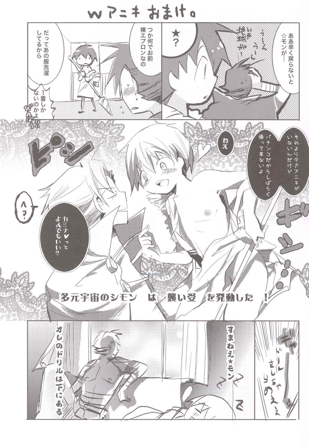 (ドリルは男の魂2) [ココシガ33 (正次郎)] スワロウテイル (天元突破グレンラガン)