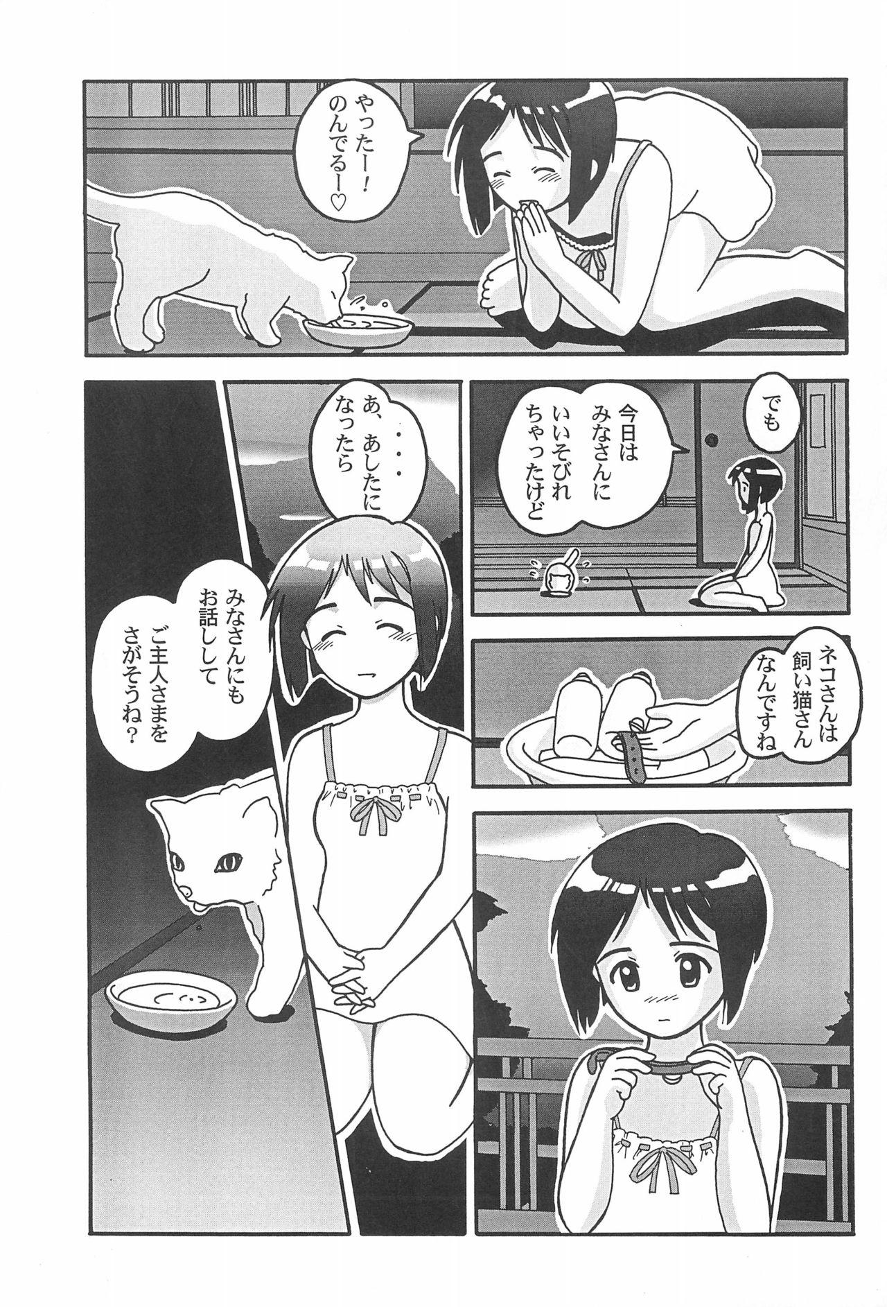 (C56) [MORNINGMOON MERCHANDISING PRODUCTS (朝月円)] ミソシル (ラブひな)