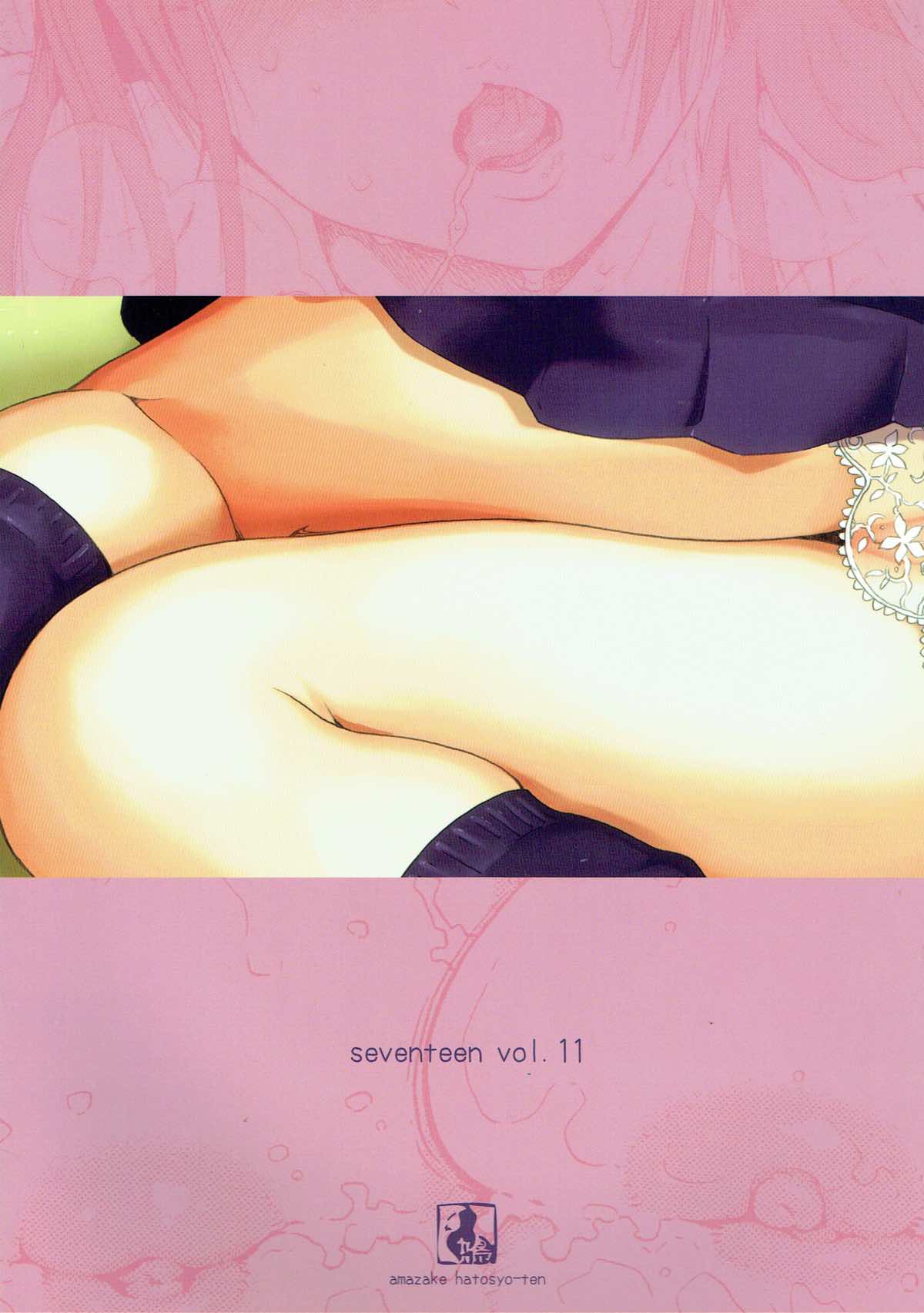 (C89) [甘酒鳩商店 (養酒オヘペ)] seventeen vol.11 (あねどきっ)