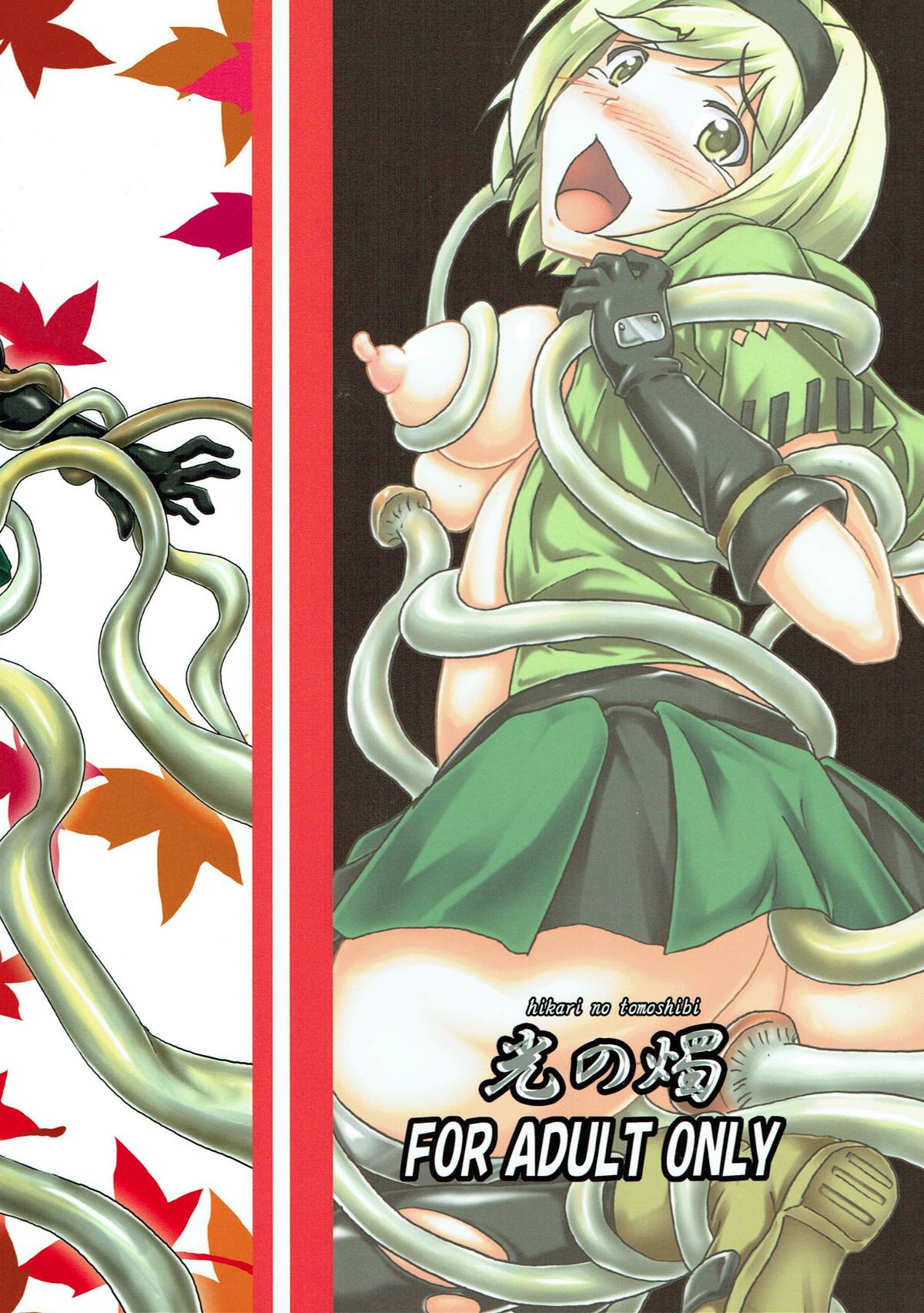 (C90) [光の燭 (光燭)] 苗床って素晴らしい!? (グランブルーファンタジー)