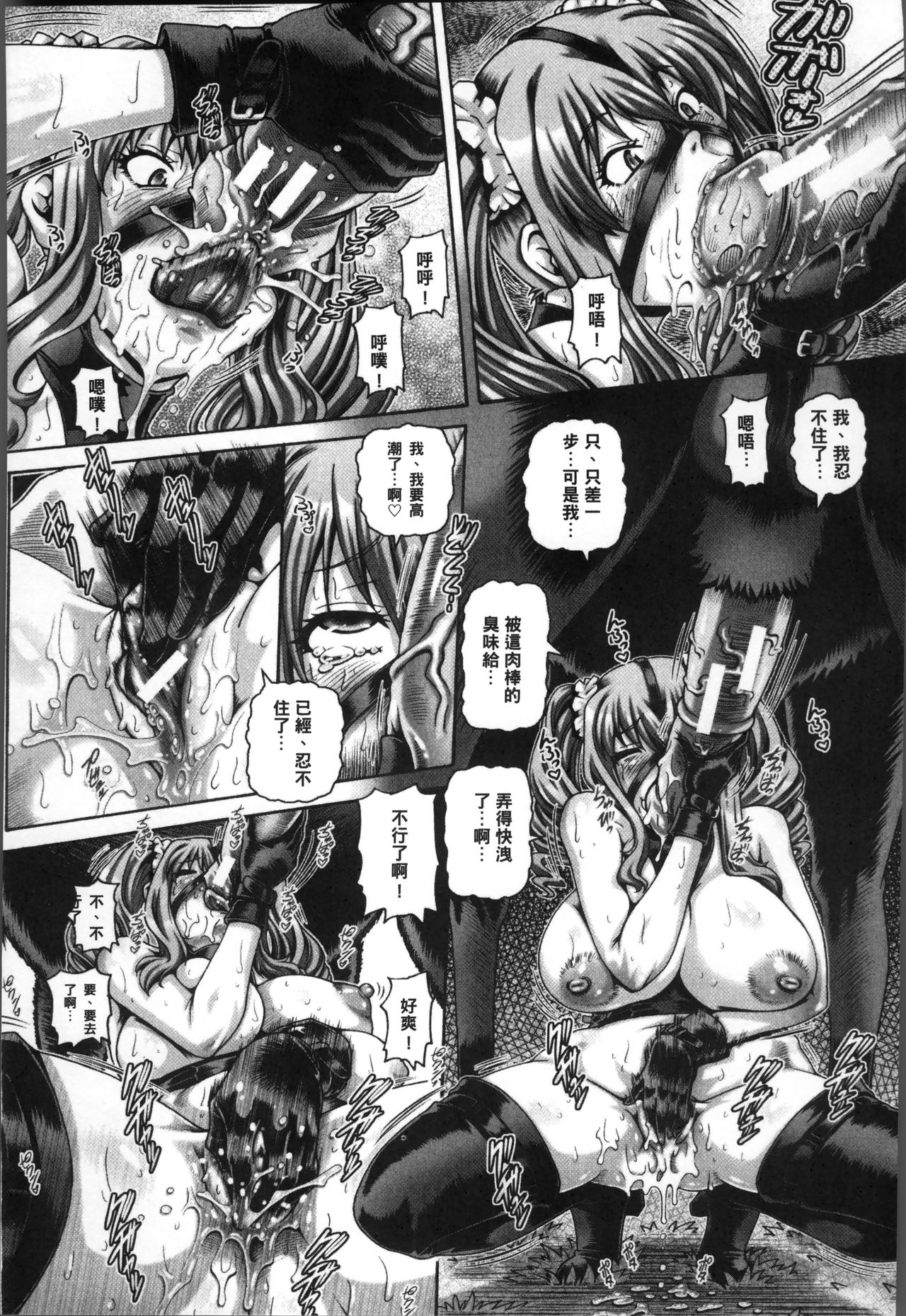 [TYPE.90] 獣愛姦通 [中国翻訳]