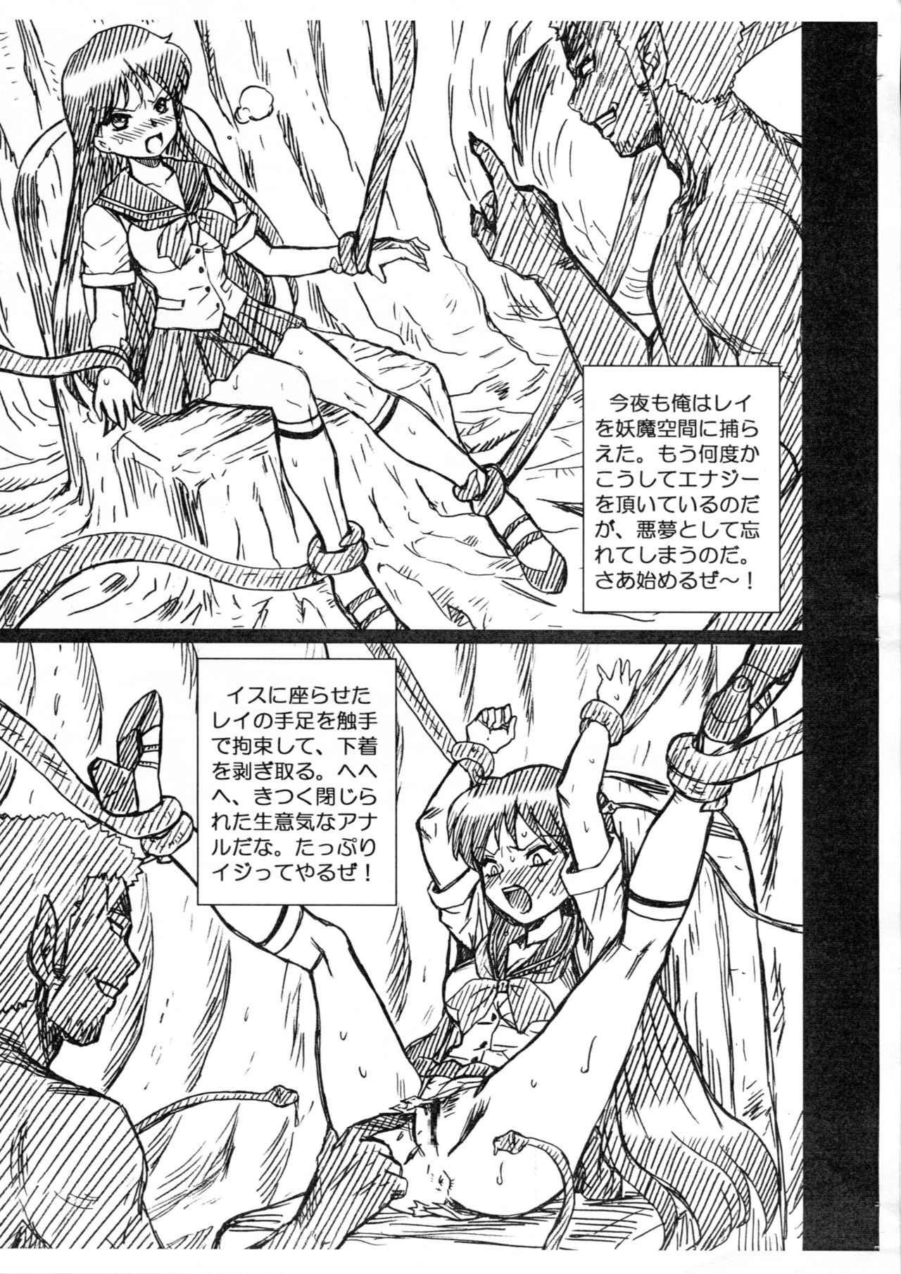 (C82) [RAT TAIL (IRIE YAMAZAKI)] SAILORMOON FILE 火野レイ 画像集 (美少女戦士セーラームーン)
