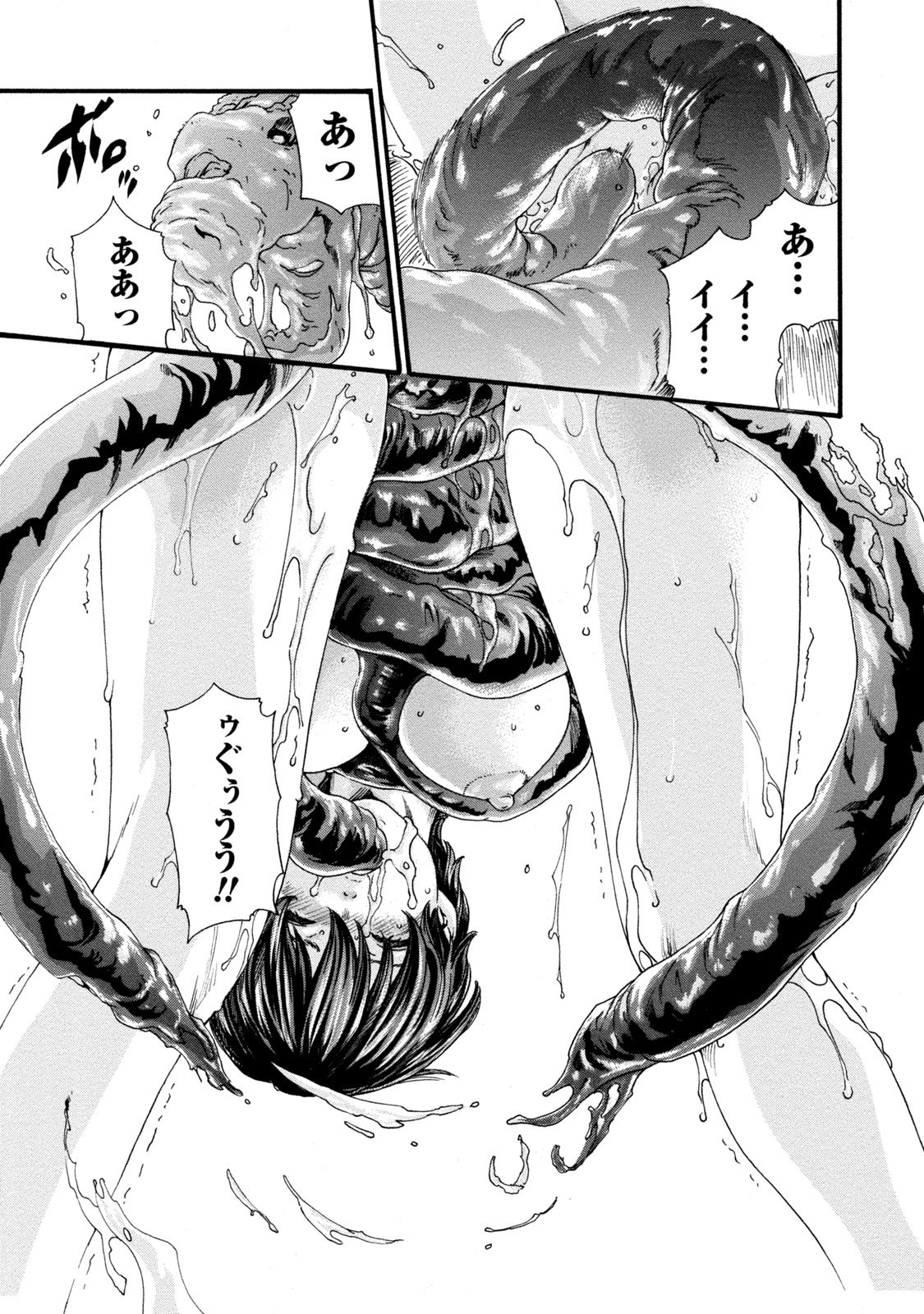 [春輝] 寄性獣医・鈴音 8