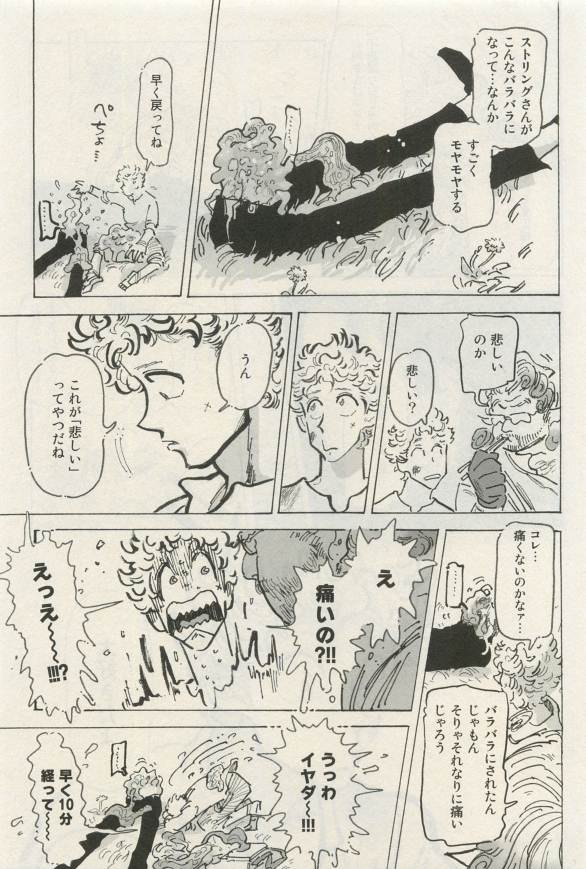 Canna Vol.40