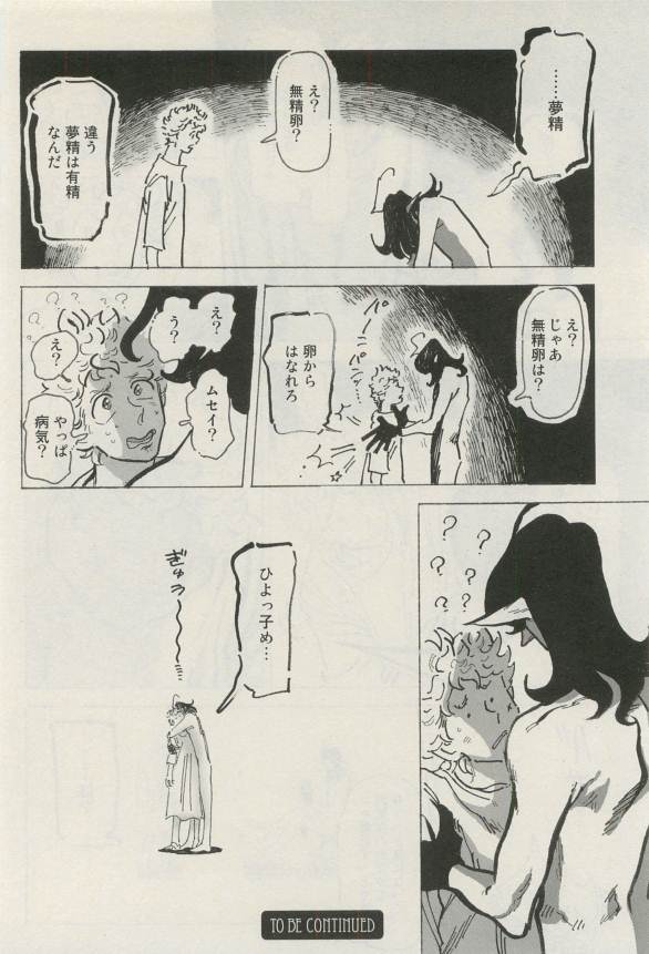 Canna Vol.40