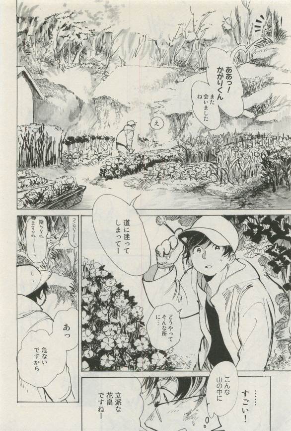 Canna Vol.40