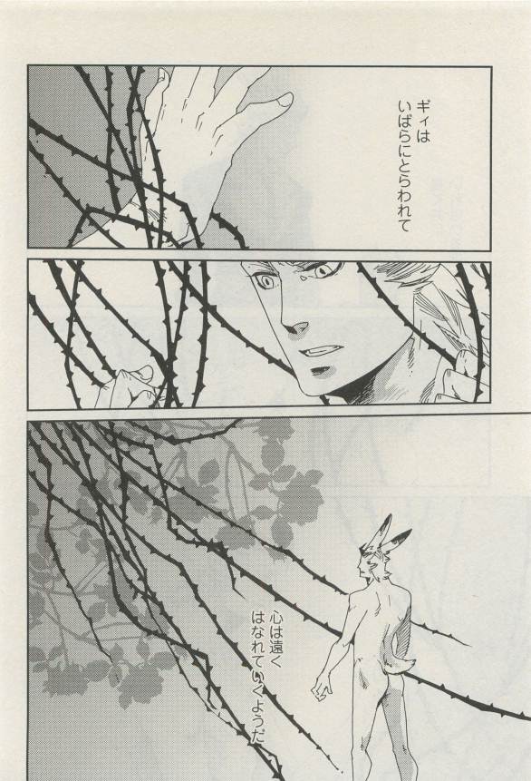 Canna Vol.40