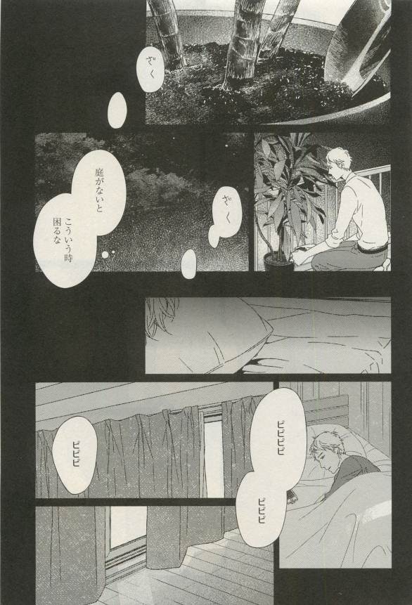 Canna Vol.40
