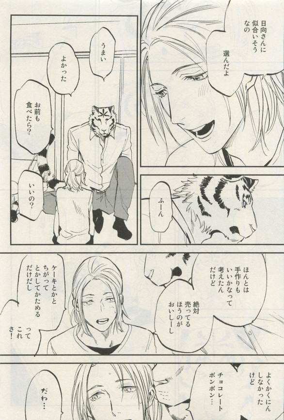 Canna Vol.40
