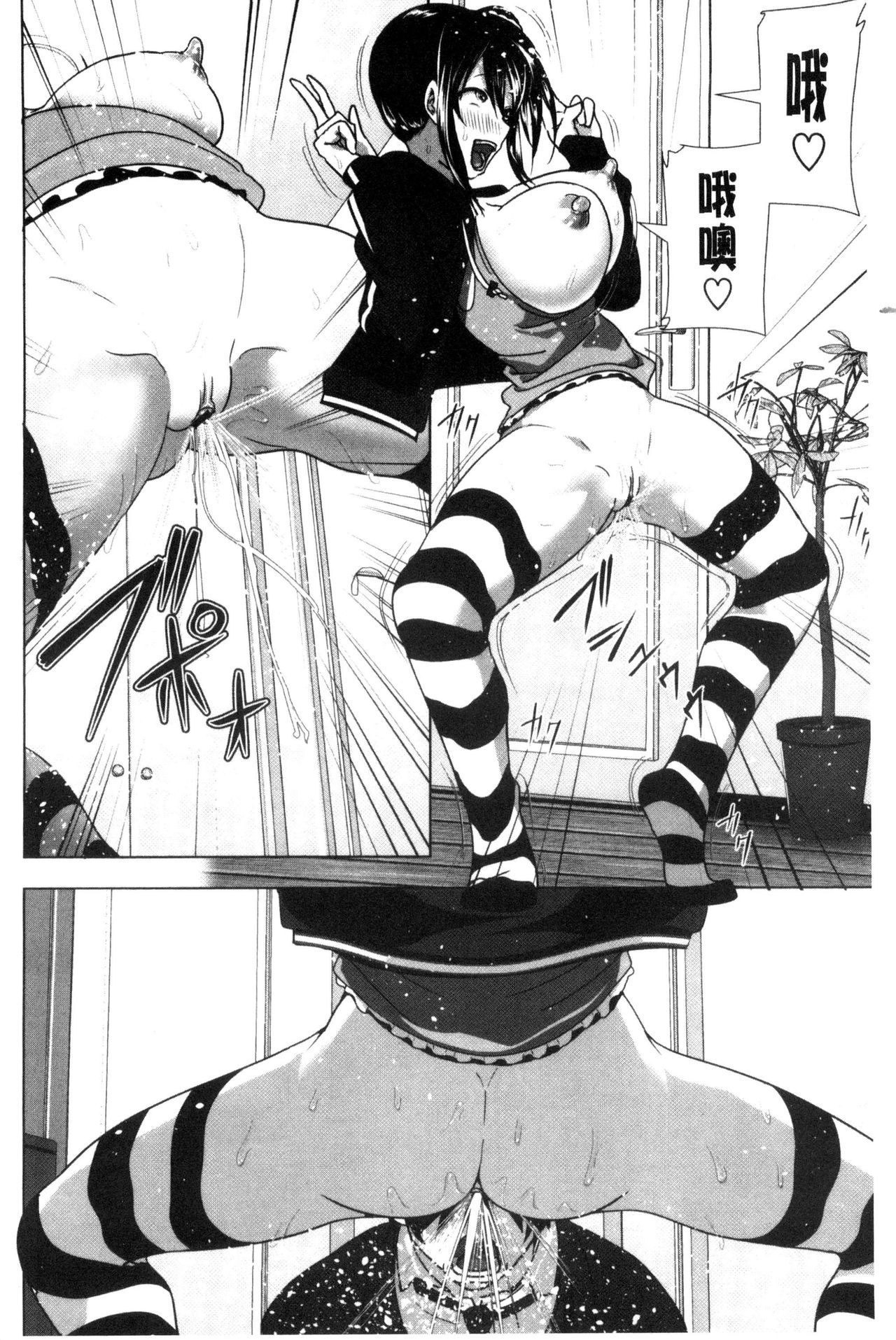 [なかに] まるだしすたー [中国翻訳]