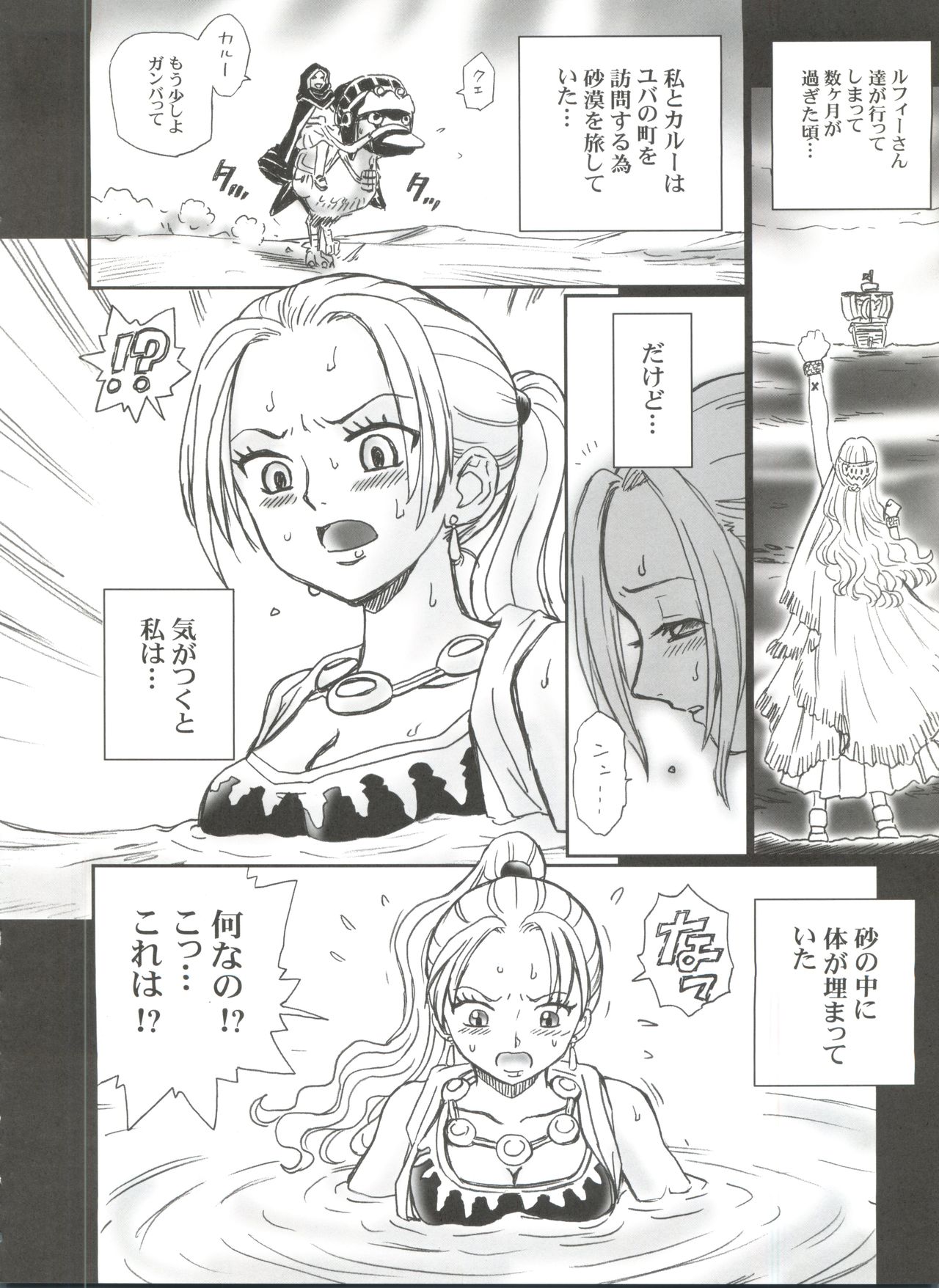 (C73) [RAT TAIL (IRIE YAMAZAKI)] TAIL-MAN NEFERTALI VIVI BOOK (ワンピース)