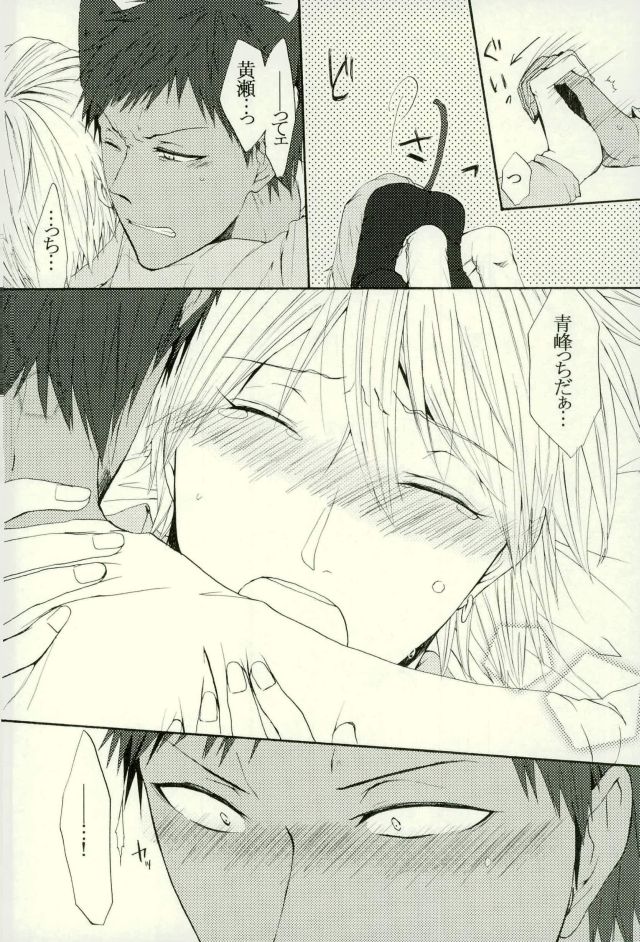 (HARUCC21) [キューティー★コンプレックス (ハツカ)] ねこのきもち3 (黒子のバスケ)