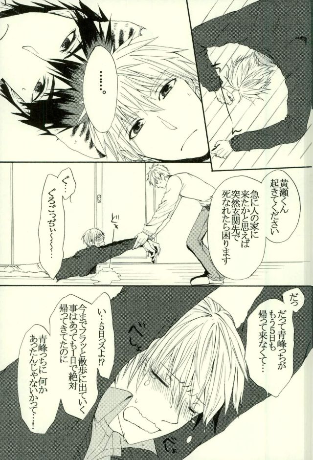 (HARUCC21) [キューティー★コンプレックス (ハツカ)] ねこのきもち3 (黒子のバスケ)