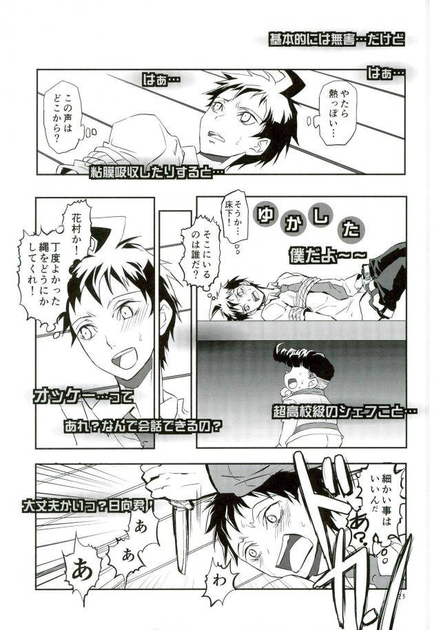 (HARUCC20) [XXXXXXX (羽鳥はとり)] 絶対絶命彼氏日向 (スーパーダンガンロンパ2)