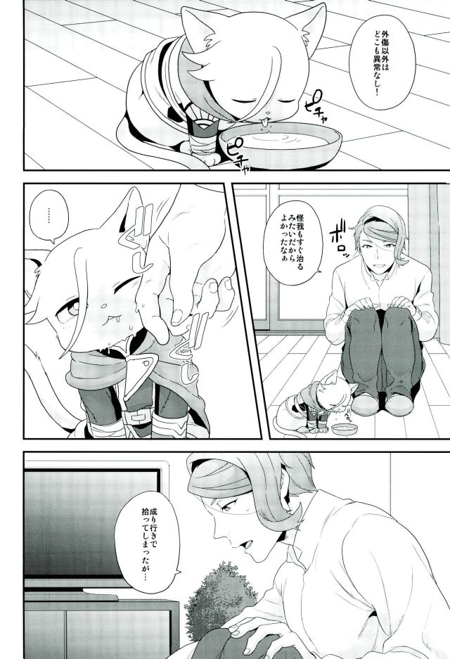 (C91) [サヨナラホーネット (ヨシラギ)] 現代パロディにおけるネコのマクギリスとガエリオの可能性について (機動戦士ガンダム 鉄血のオルフェンズ