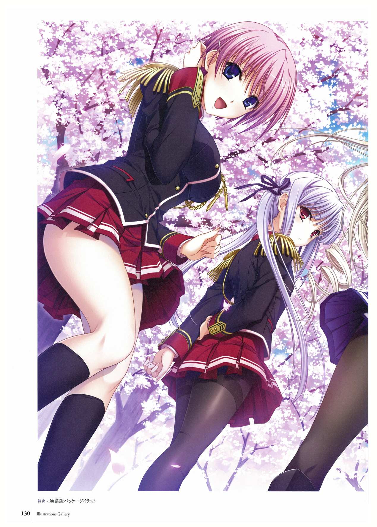 ワルキューレロマンツェ ビジュアルファンブック