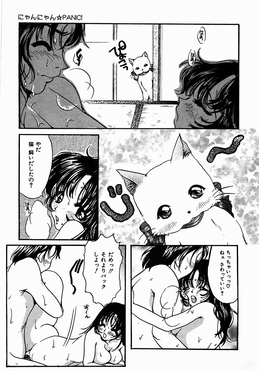 [にゃんこMIC] A感・アナリスト [DL版]