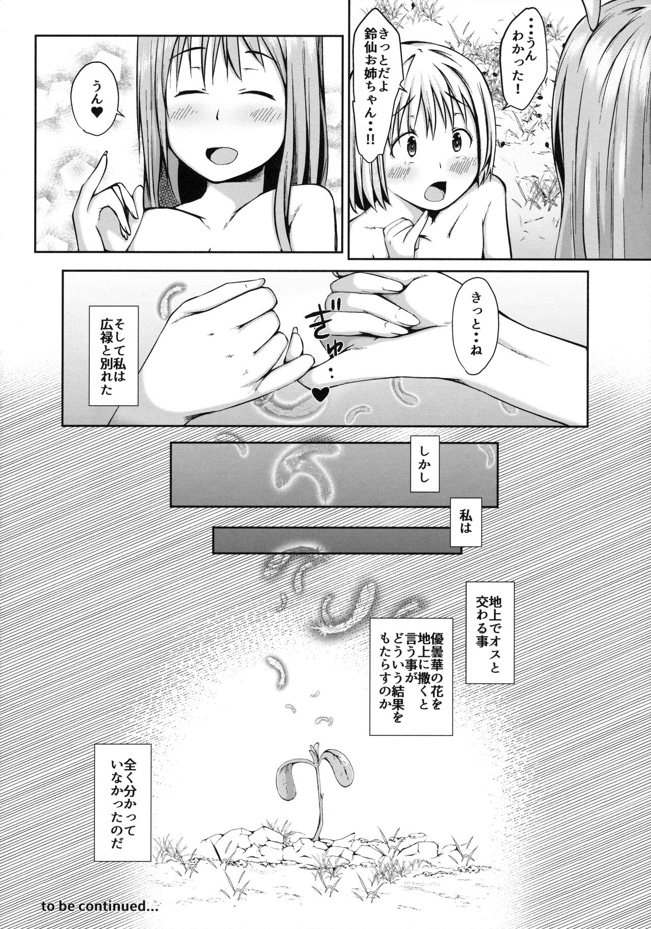 (C90) [田舎の野菜屋 (はぶらえる)] 此岸の記憶 (東方Project)