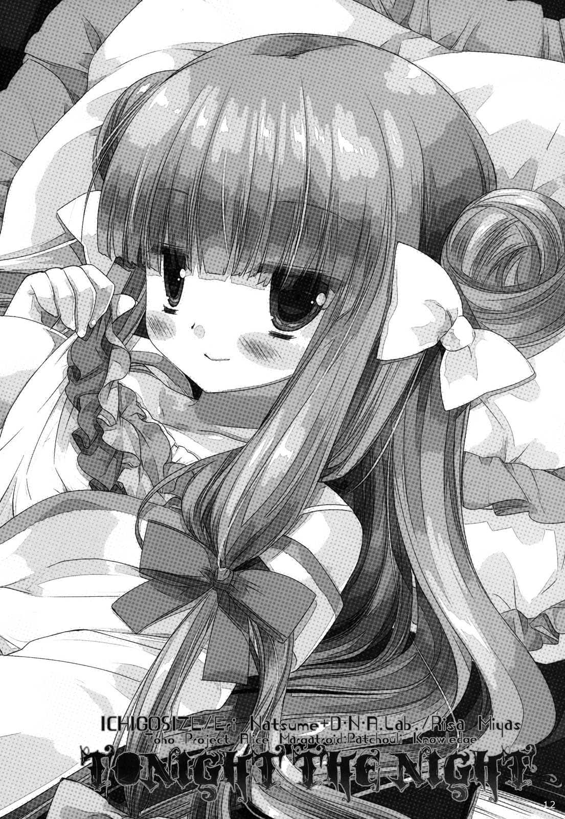 (例大祭9) [D・N・A.Lab.、いちごさいず (ミヤスリサ、なつめえり)] Tonight The Night (東方Project) [英訳]