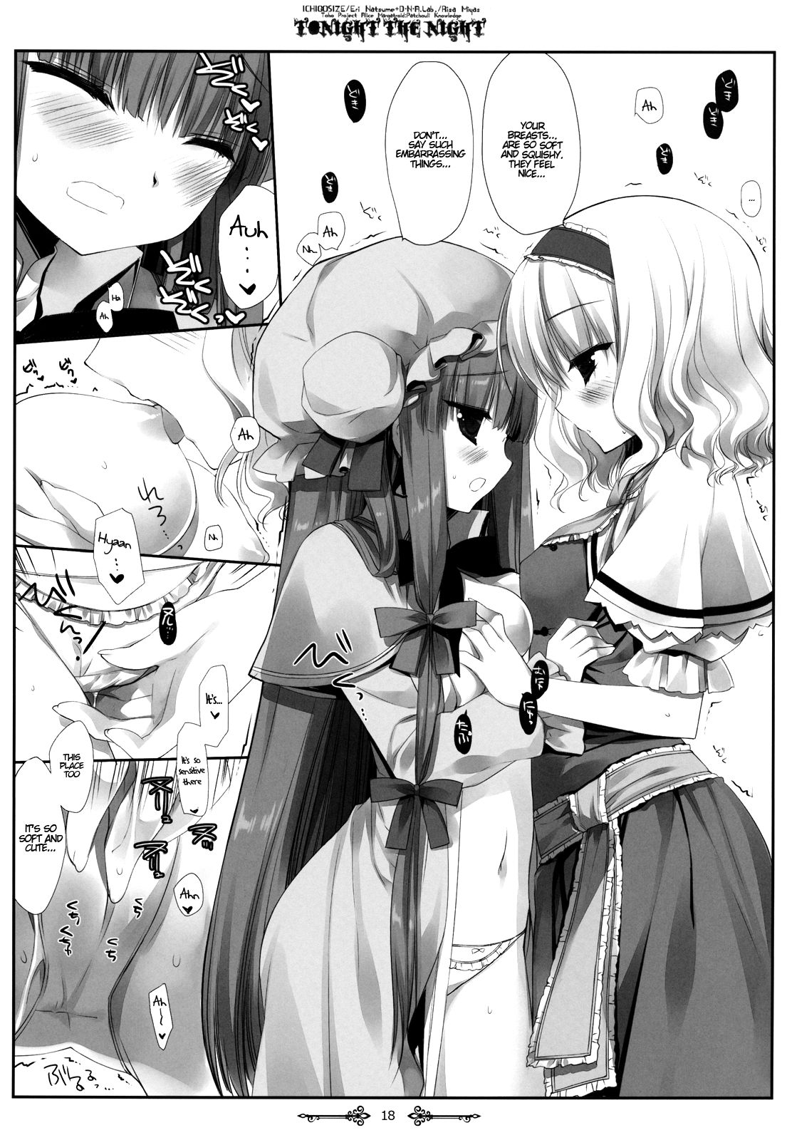 (例大祭9) [D・N・A.Lab.、いちごさいず (ミヤスリサ、なつめえり)] Tonight The Night (東方Project) [英訳]