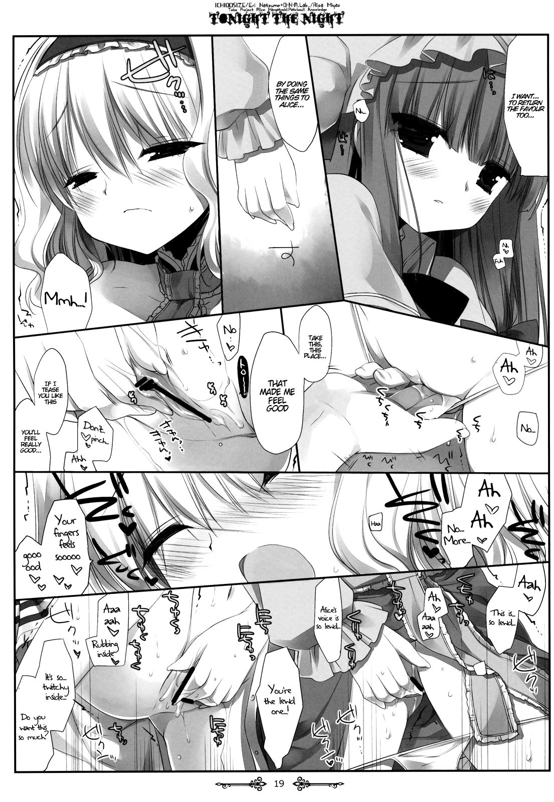 (例大祭9) [D・N・A.Lab.、いちごさいず (ミヤスリサ、なつめえり)] Tonight The Night (東方Project) [英訳]