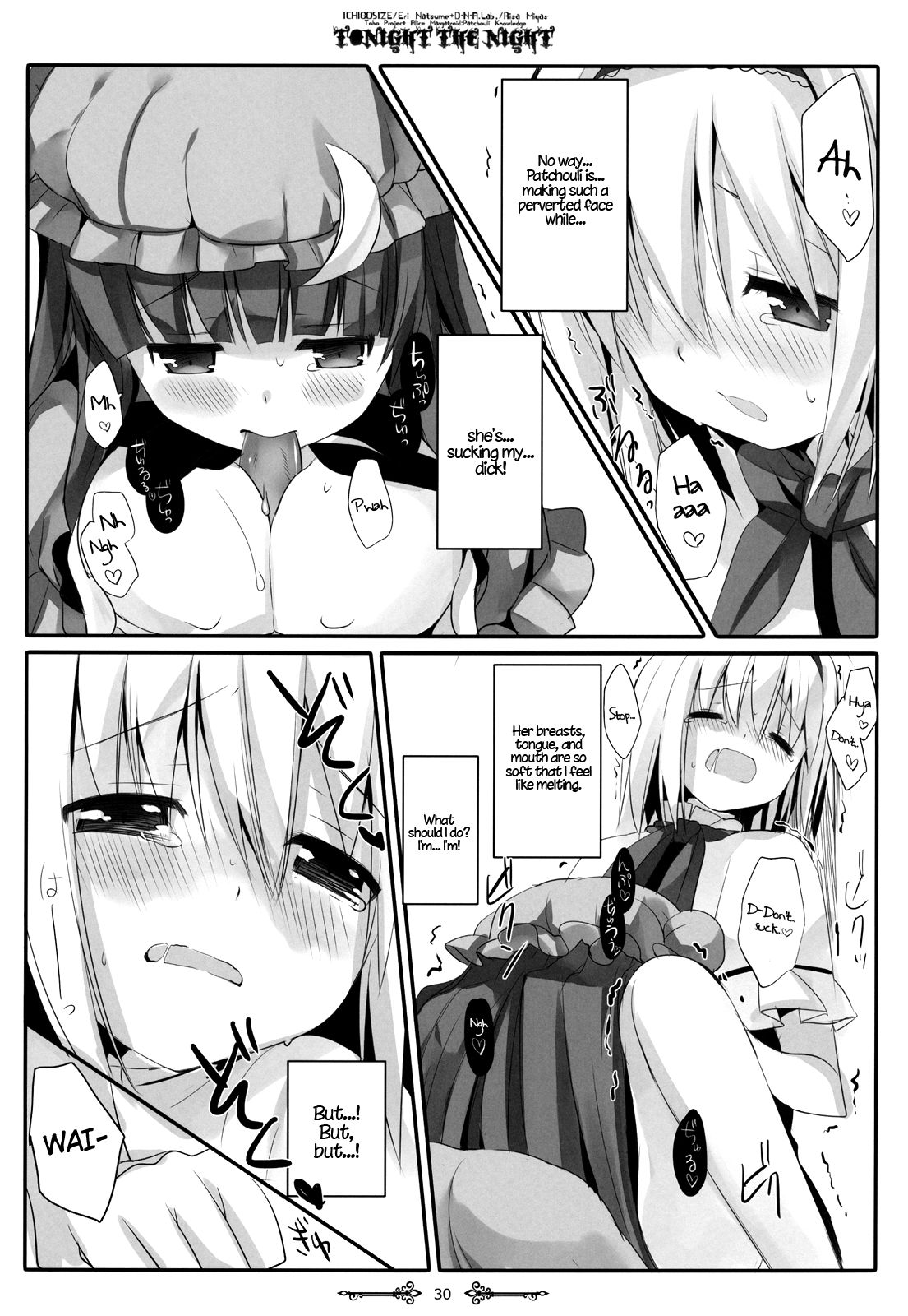 (例大祭9) [D・N・A.Lab.、いちごさいず (ミヤスリサ、なつめえり)] Tonight The Night (東方Project) [英訳]