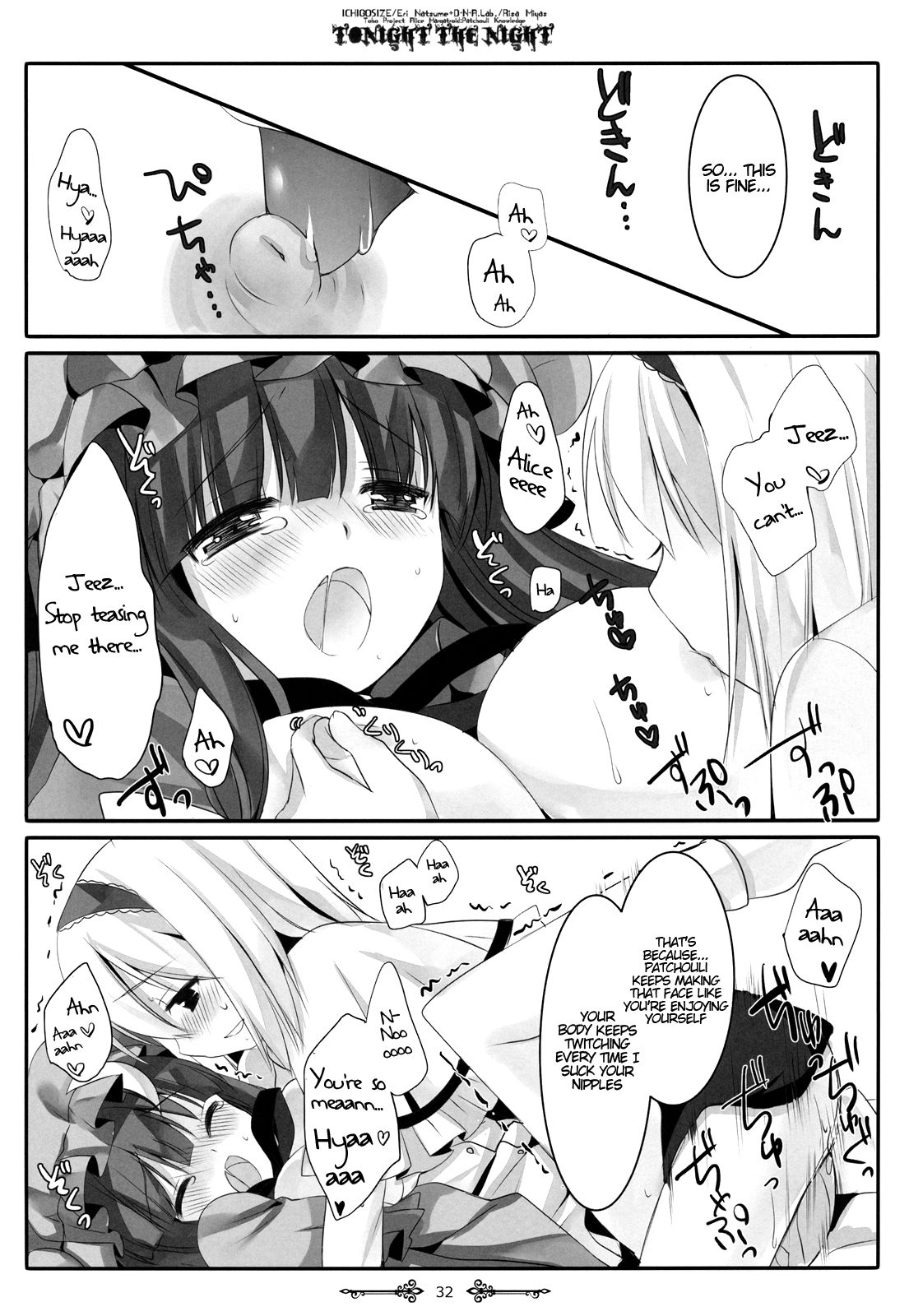 (例大祭9) [D・N・A.Lab.、いちごさいず (ミヤスリサ、なつめえり)] Tonight The Night (東方Project) [英訳]
