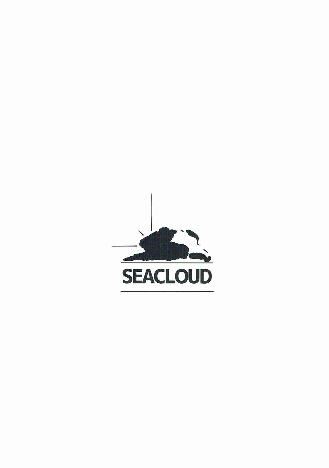 (紅楼夢12) [SEACLOUD (荒居栂美)] Hしたい したくない? (東方Project)
