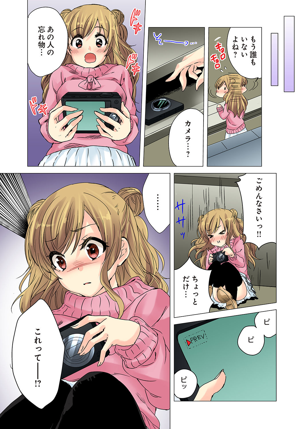 [かんづめ] かくしどり1 [DL版]