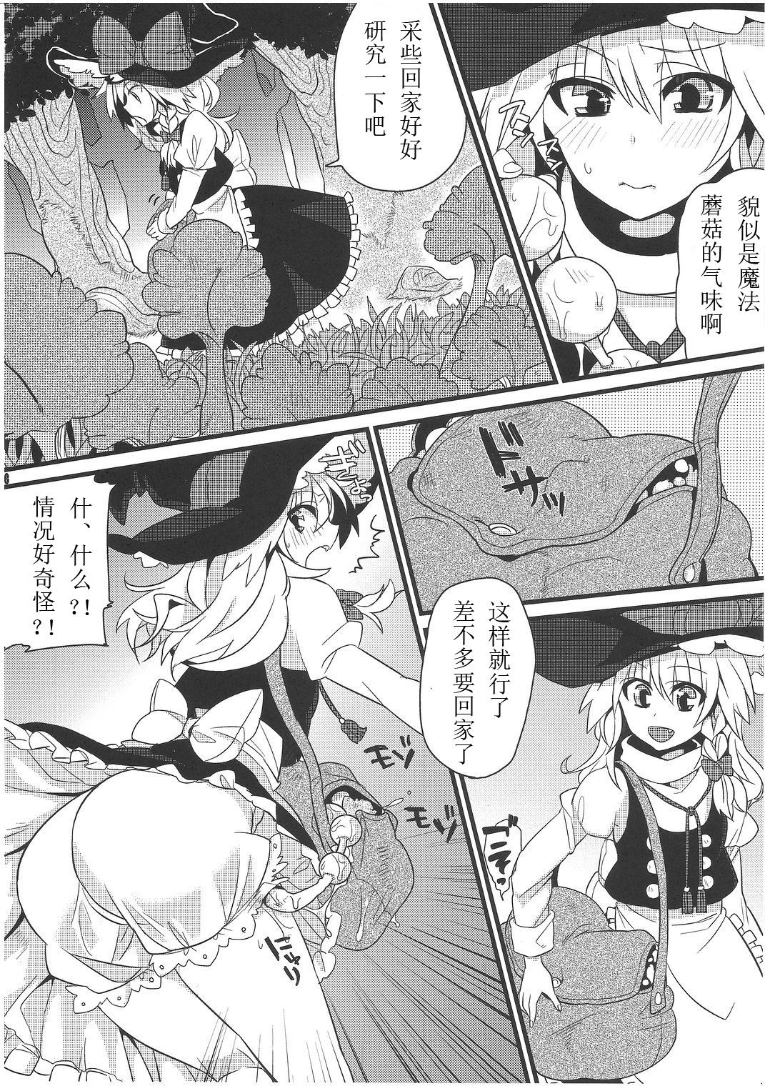 (C81) [成宮 (鳴海也)] たまタマしっぽ (東方Project) [中国翻訳]