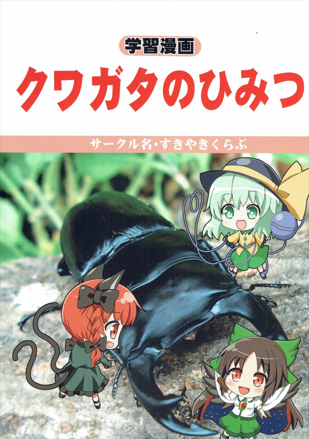 (秋季例大祭3) [すきやきクラブ (孝治)] 色欲の覚 (東方Project)