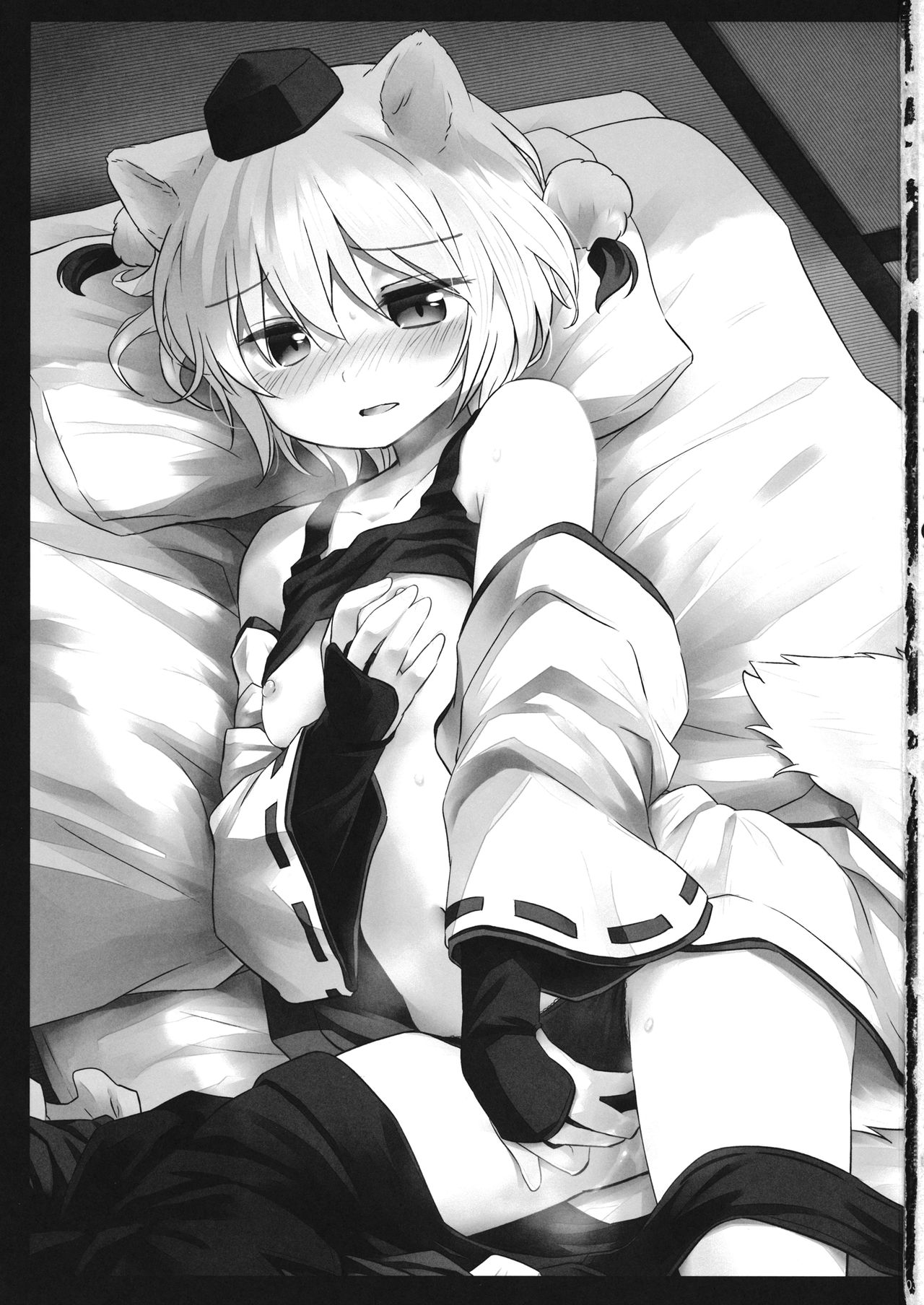 (例大祭13) [Animal Passion (茹でピー)] おなもみ (東方Project)
