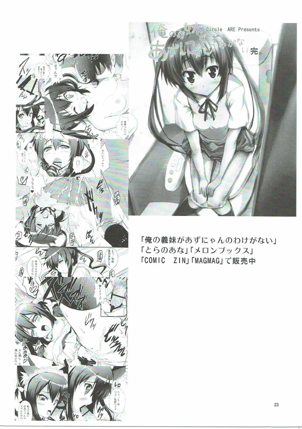 (COMIC1☆5) [サークルARE (華師)] 電波とスマキと親子丼ブリ (電波女と青春男)