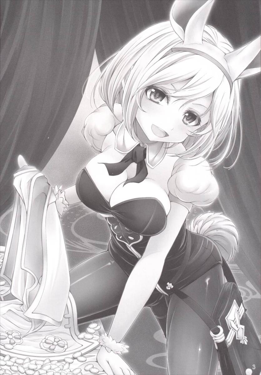 (C90) [じゃがぁの～と (JYUN)] バニーがセージになる方法っ (グランブルーファンタジー)
