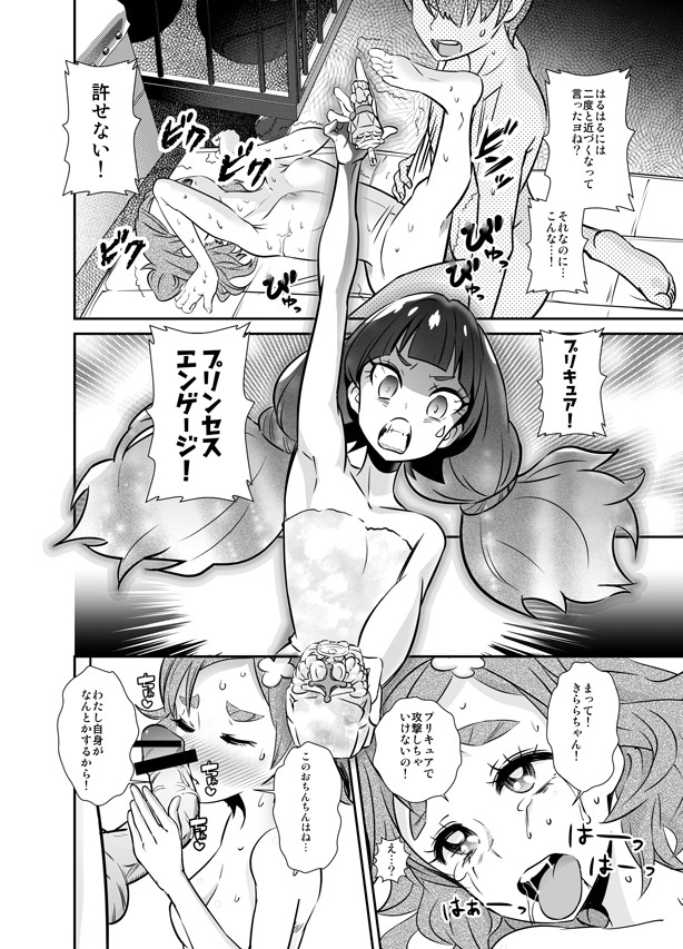 (C90) [グランプ (人工知能)] ボクの恋しいはるか (Go! プリンセスプリキュア)