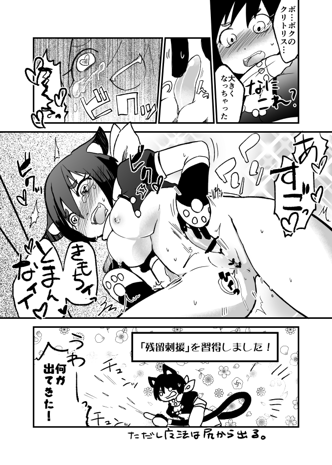 【ヤコウキョク（イハマダカ）】チクチククリ肥大
