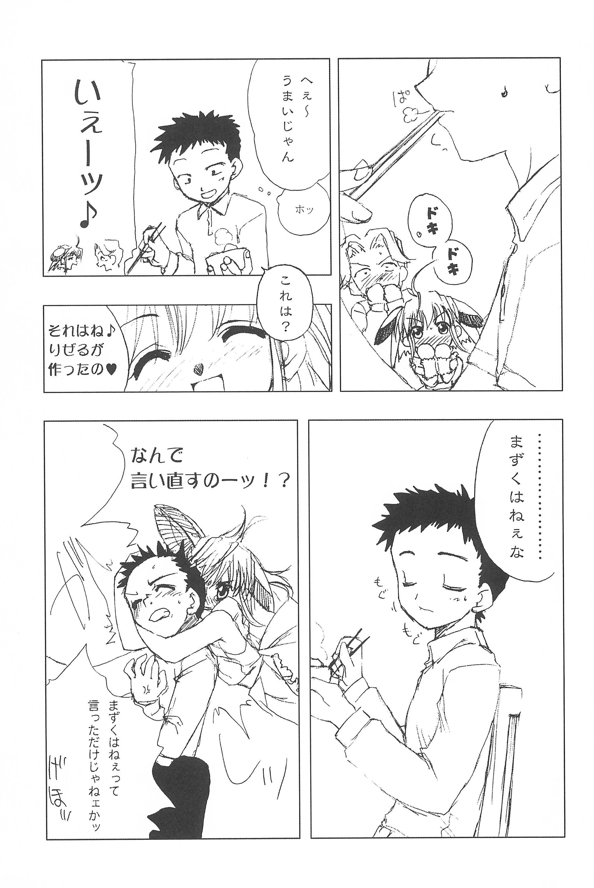 (サンクリ22) [忍ノ館 (いわまよしき)] JEWEL-BOX 10 LOLITA-SARAD (よろず)