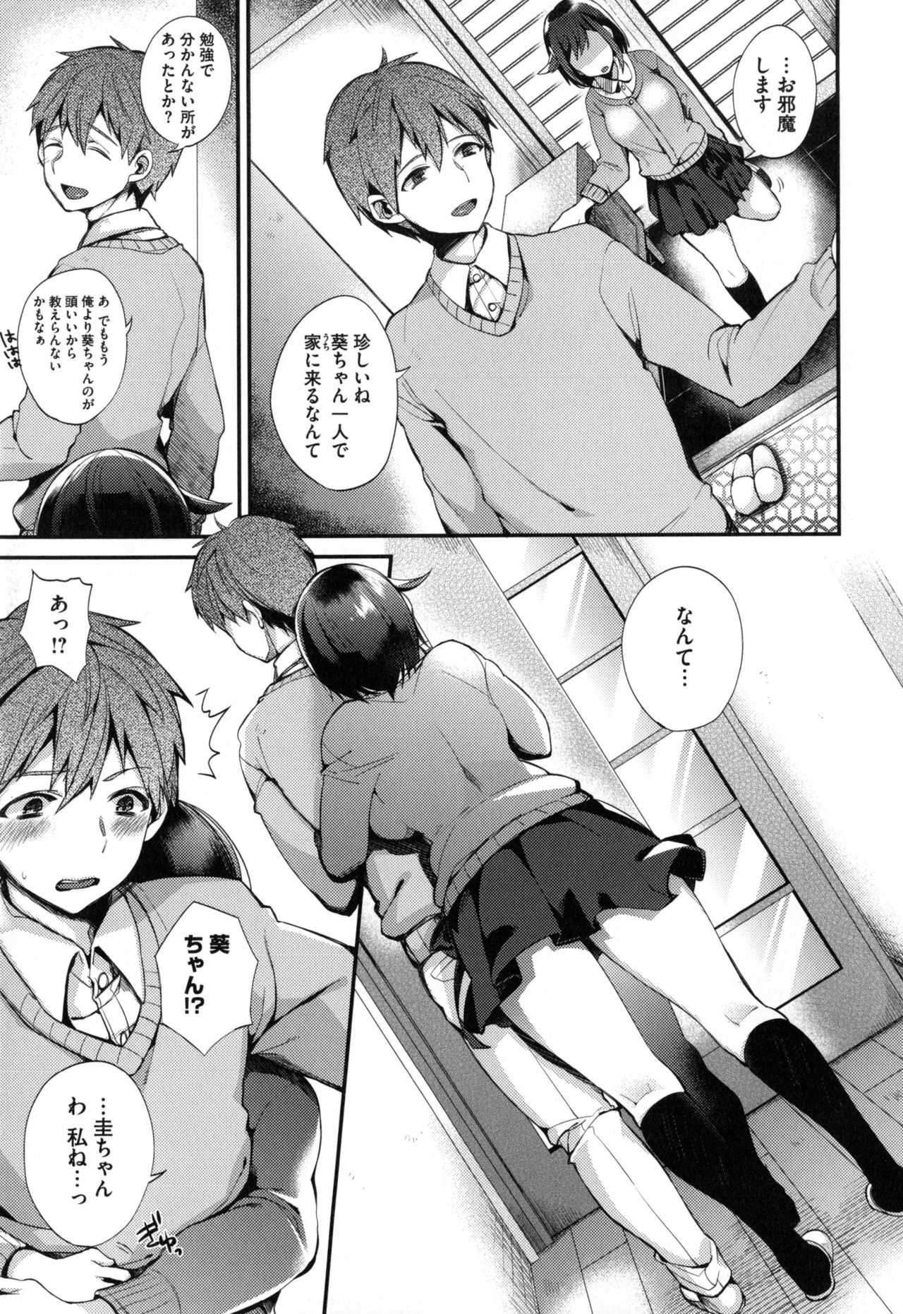 [しんどう] お嬢様とメイドのみだらな性活 + とらのあなリーフレット
