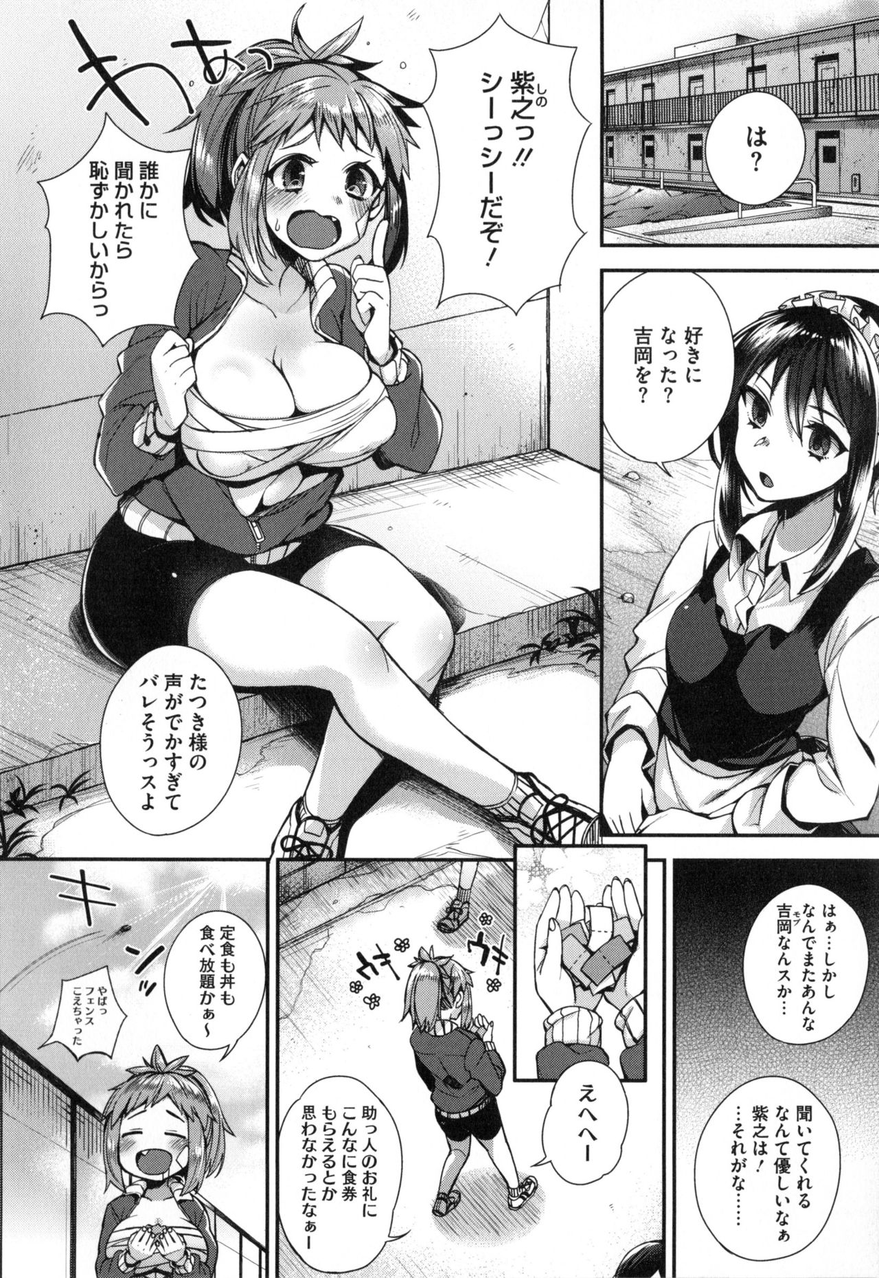 [しんどう] お嬢様とメイドのみだらな性活 + とらのあなリーフレット